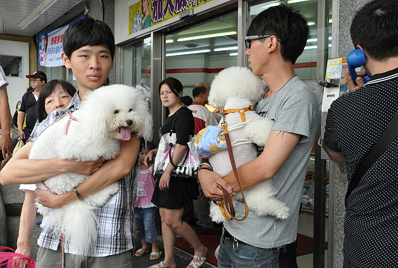 Taiwan